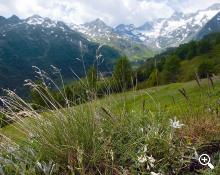 Sommer im Passeiertal