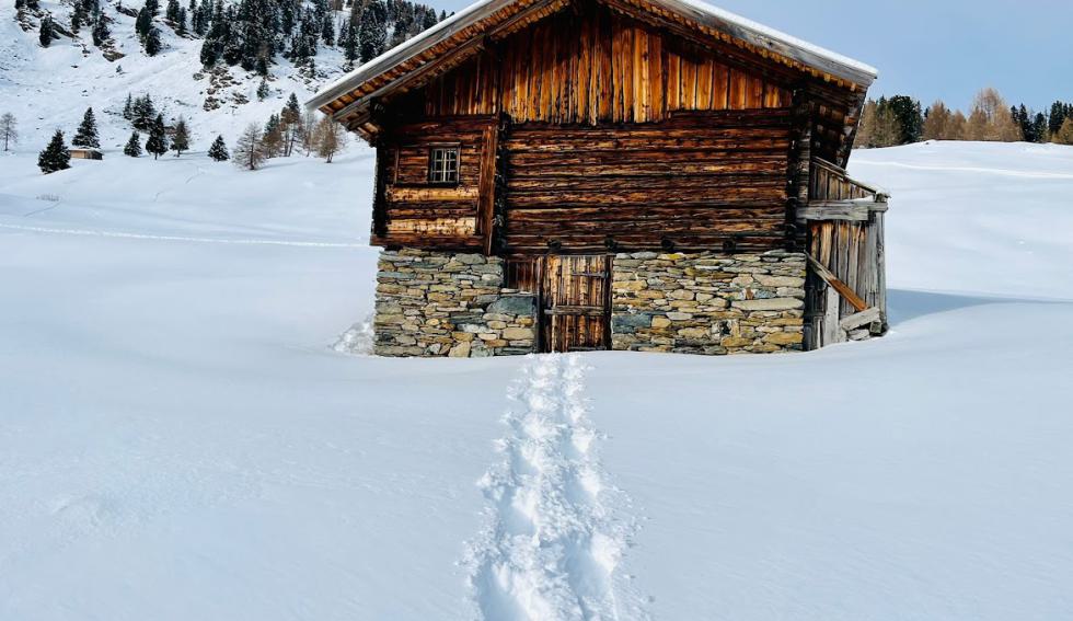Natur 