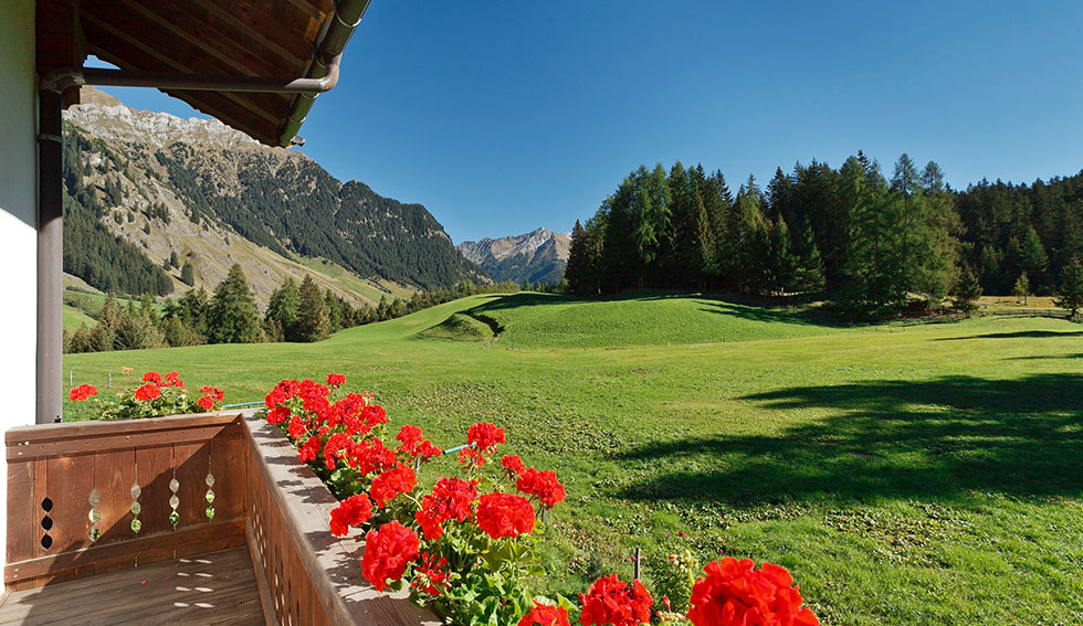 Ausblick vom Balkon