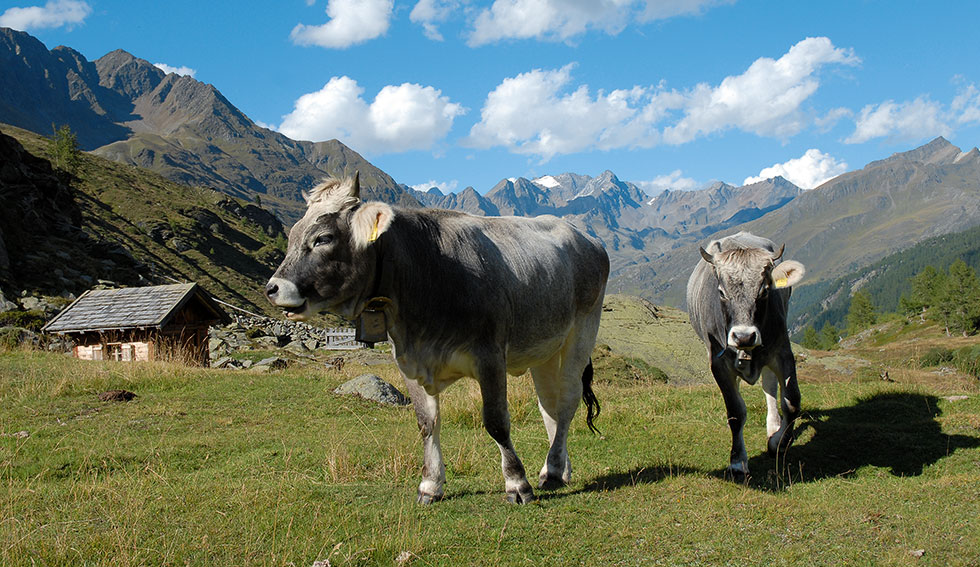 La Val Passiria nel Parco Naturale Gruppo di Tessa, Alto Adige