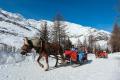 Gita in slitta trainata da cavalli in Val Passiria